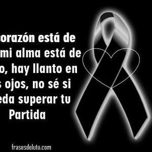 Meet your Posher, Yolennis